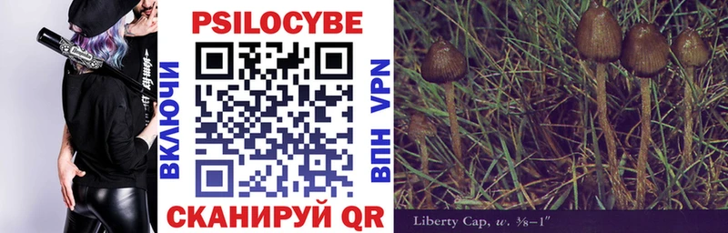 сайты даркнета телеграм  Киселёвск  Псилоцибиновые грибы Psilocybe 