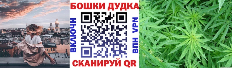 МАРИХУАНА конопля Киселёвск